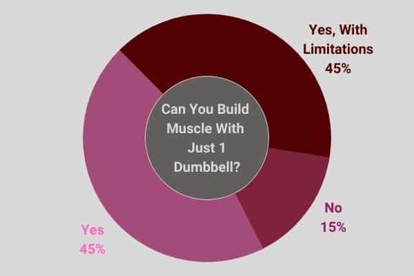 pie chart showing the results of "can you build muscle with just 1 dumbbell?"