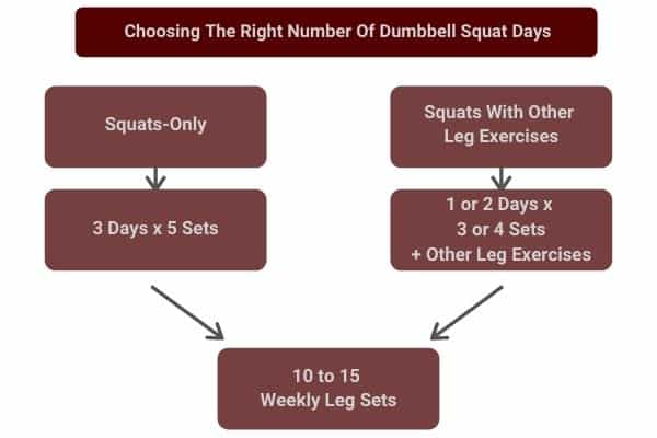 infographic showing how many days to dumbbells squat