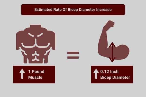 infographic showing the estimated rate of arm diameter growth