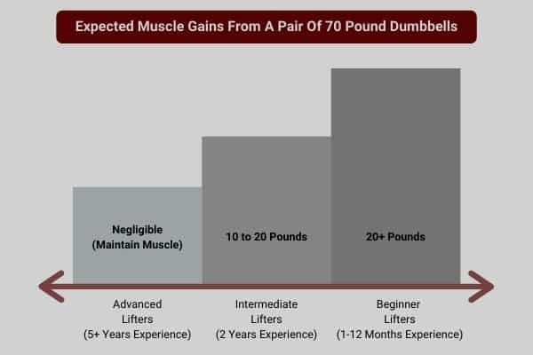 infographic to show how much muscle you can expect to gain with dumbbells
