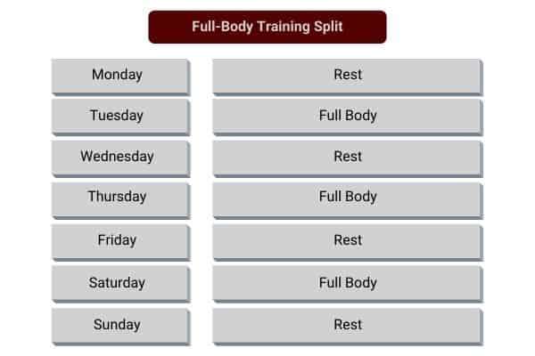 full-body training split with dumbbells
