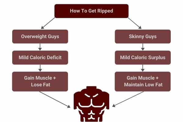 infographic showing how to get ripped