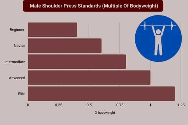 infographic to show a man can shoulder press 0.5x his bodyweight untrained, 0.8x his bodyweight after 2 years training, and 1 to 1.25x bodyweight after 5 years training