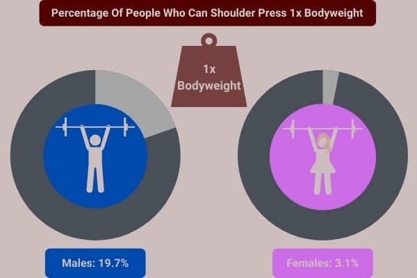infographic showing percent of men and women who can shoulder press 1x bodyweight
