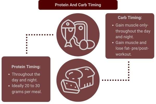infographic to show protein and carbohydrate timing