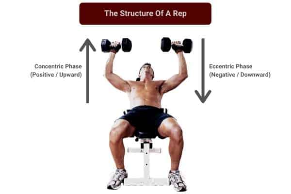 3-sets-of-15-reps-what-it-is-is-it-enough-to-build-muscle