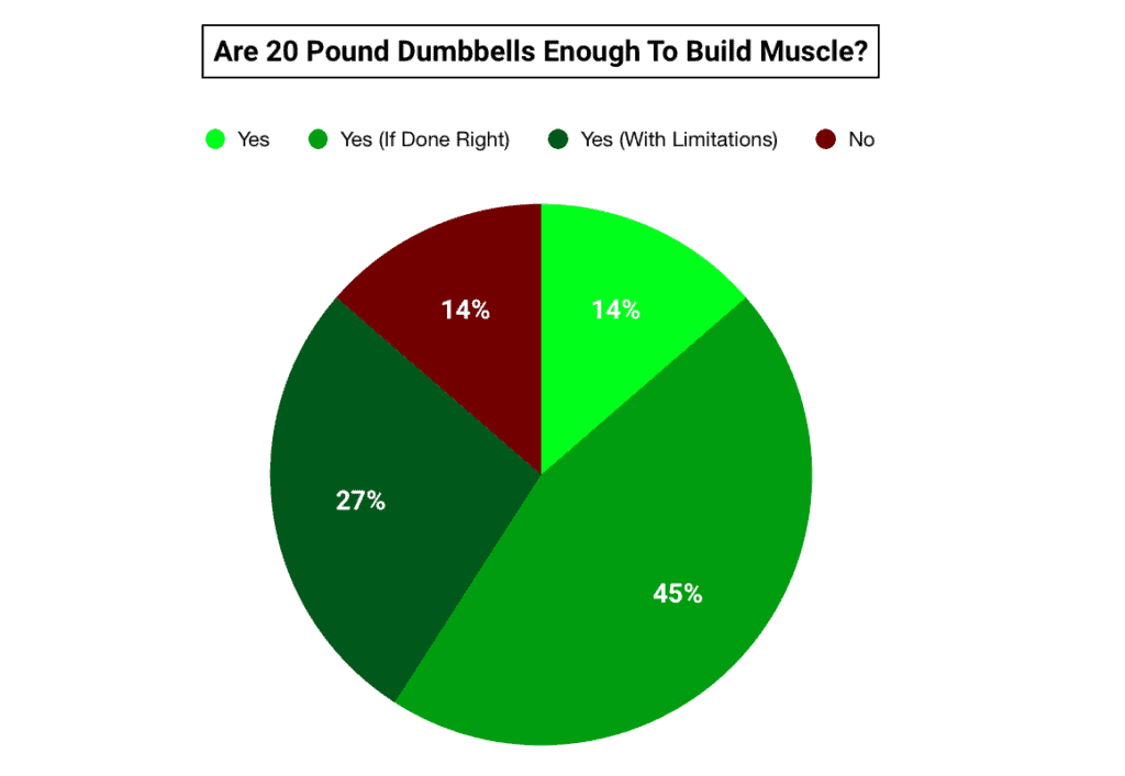 pie chart showing 20lb dumbbells are enough to build muscle