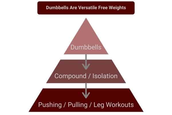 dumbbells are a versatile free weight
