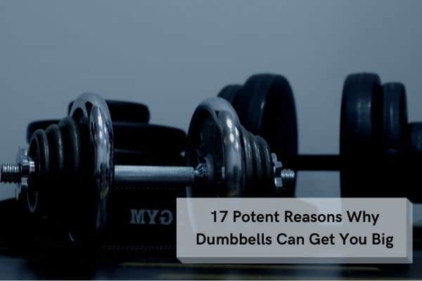 17 Potent Reasons Why Dumbbells Can Get You Big