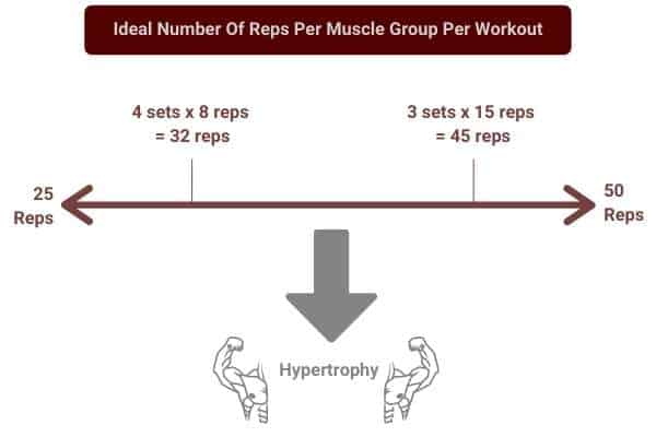 Ideal number of reps per muscle group per workout when doing 3 and 4 sets.