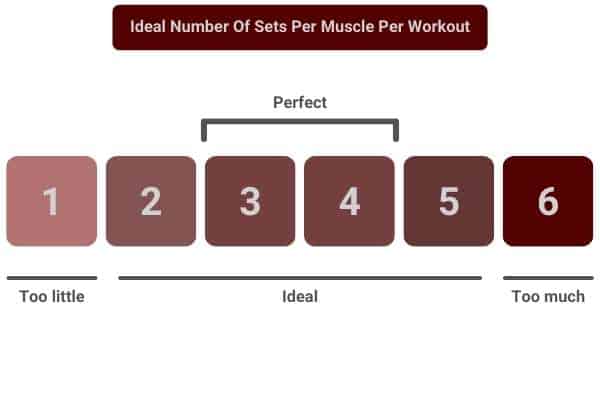 3 to 4 sets are the ideal number of sets per workout