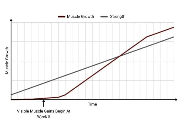 strength vs hypertrophy graph showing  you can be strong but not muscular