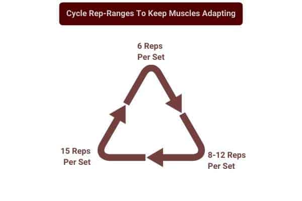 cycle between 6, 8, 12, and 15 reps per set to keep muscles adapting