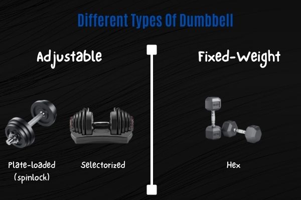 Different types of dumbbell include adjustable plate-loaded, selectorized, and fixed-weight dumbbells