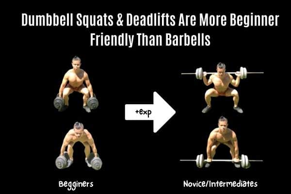 dumbbell squats and deadlifts are good for beginners