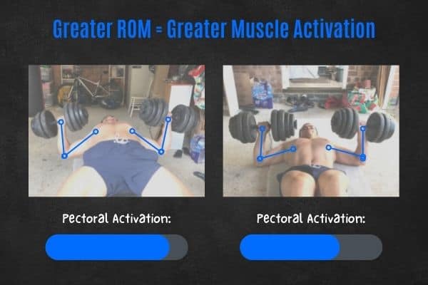Does range of motion increase muscle activation?