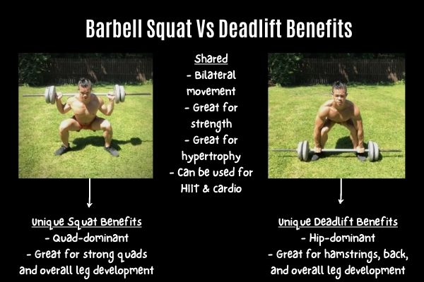 barbell squat vs deadlift benefits