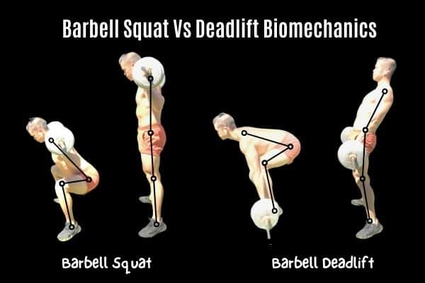 barbell squat vs deadlift biomechanics and form