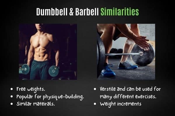 Dumbbells vs barbell weight similarities