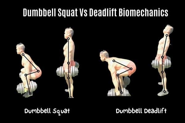 Dumbbell Squat Vs Deadlift Analysing The Differences 