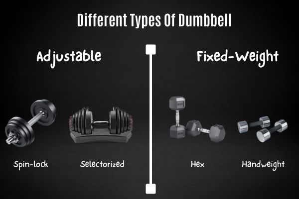 Different types of dumbbells include spin-lock, selectorized adjustable, hex, and hand weight dumbbells