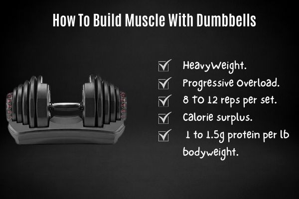 How to build muscle with dumbbells