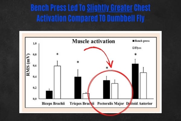 Does the bench press or dumbbell fly build more muscle?