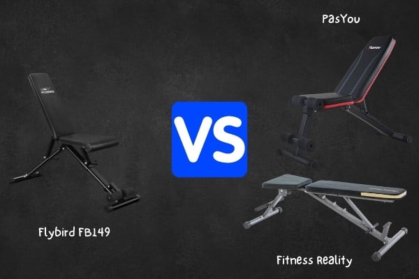 Flybird vs midrange competitors.