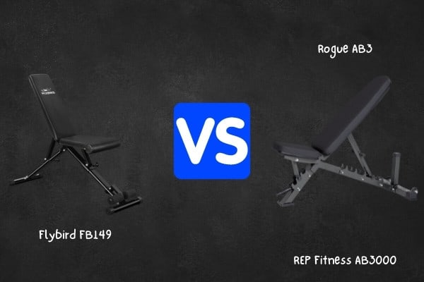 Flybird vs premium competitors.