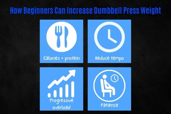 How to increase dumbbell bench press weight as a beginner.