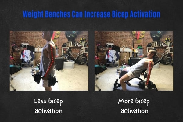 Normal vs incline bicep curl muscle activation.