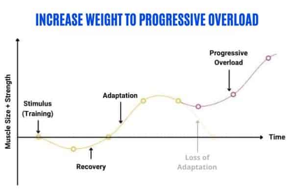 How does progressive overload work?