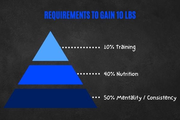 What is required to gain 10 lbs of muscle.