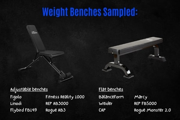 Gym bench sizes sampled.