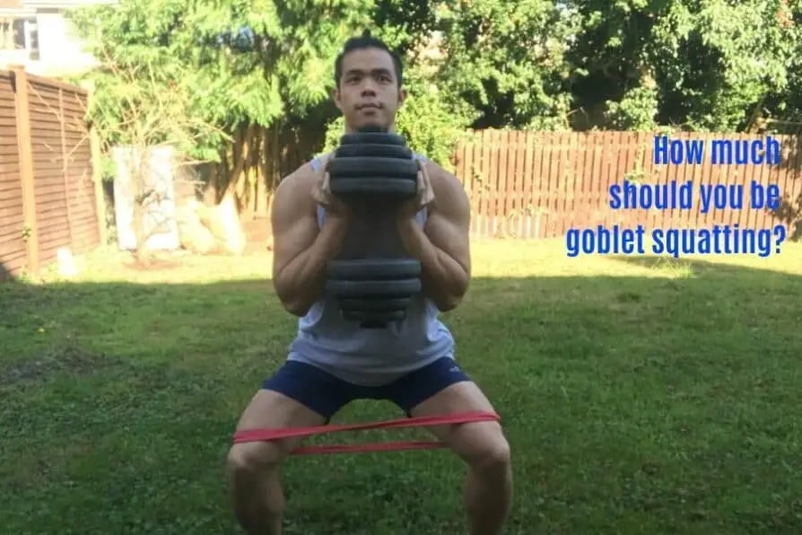 Goblet squat weight standards