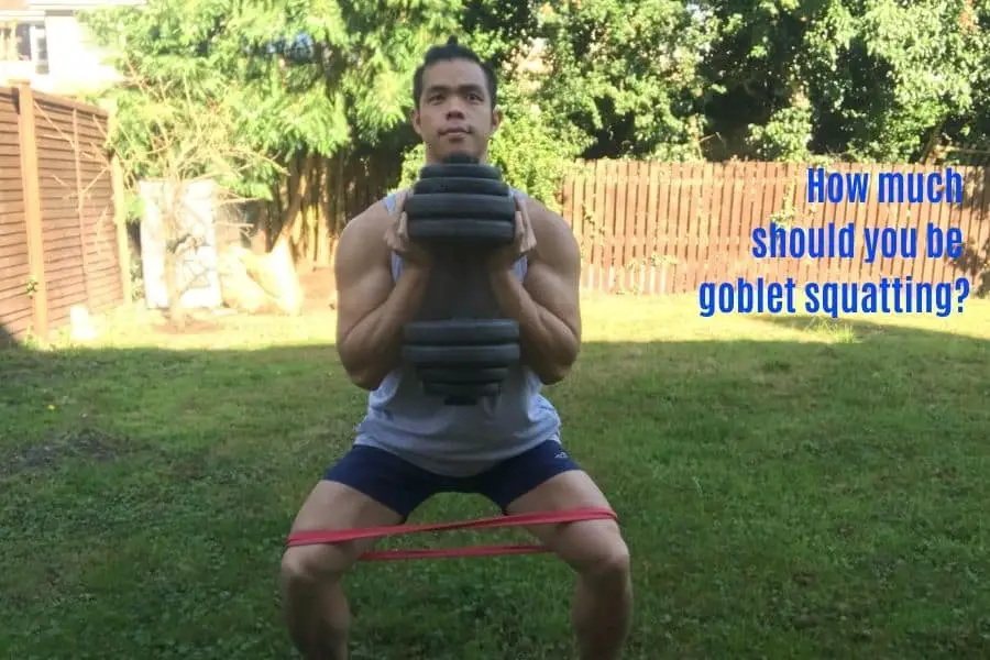 Goblet Squat Weight Standards Male Benchmarks