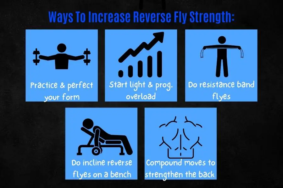 How to improve your dumbbell reverse fly.