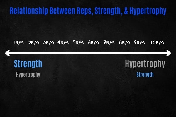 How reps affect strength and hypertrophy in the dumbbell row.