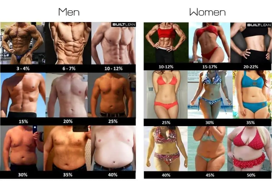 Use a body fat chart to make sure you are getting stronger through muscle gain and not fat.