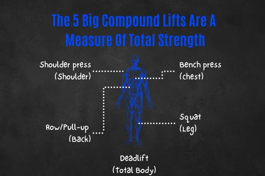 The 5 big compound lifts are a measure of total body strength.