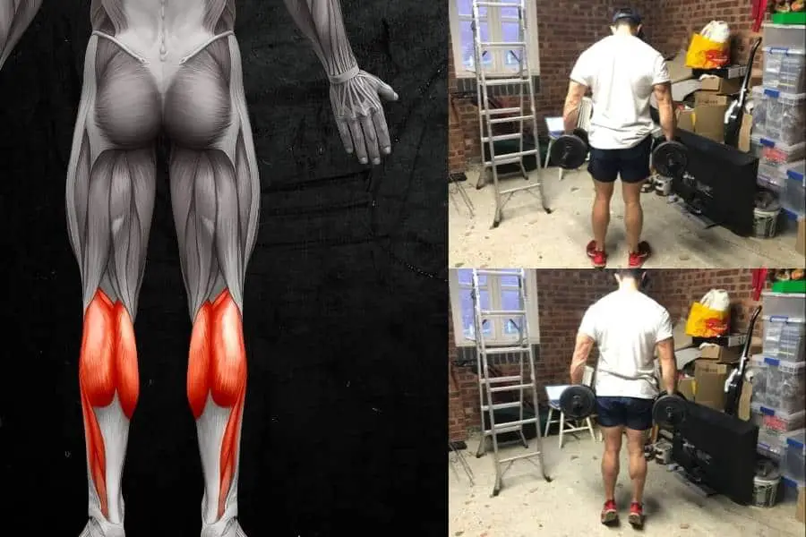 The dumbbell calf raise is an effective bodybuilding exercise for the legs and lower body.