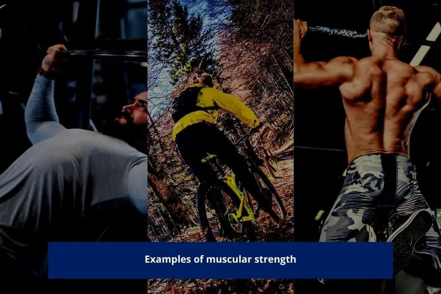 Training in the 4RM, 5RM and 6RM range is optimal for muscular strength.
