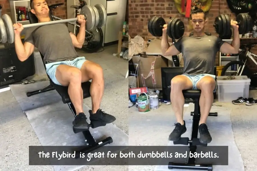 Flybird workout benches can be used with both dumbbells and barbells.