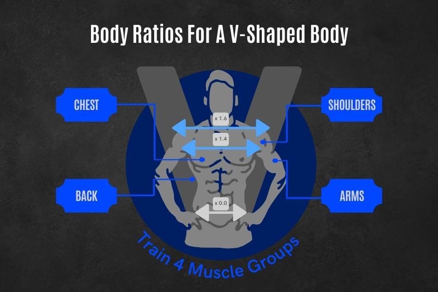 How to get a v-shape body.