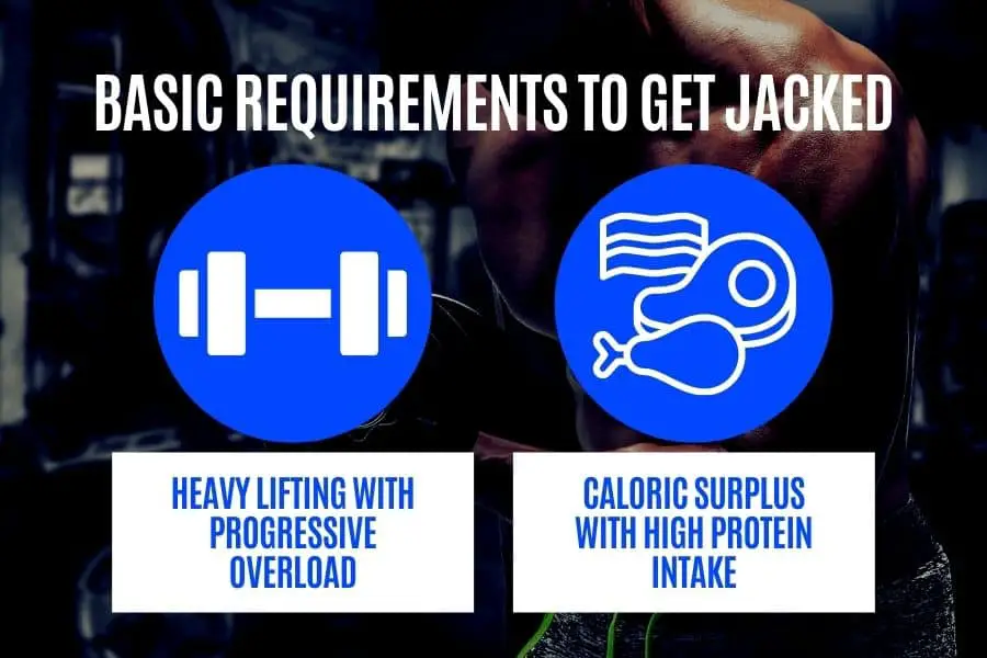 How to get jacked- follow these requirements for building muscle by 1) lifting progressively heavier loads and 2) eating a caloric surplus with high protein.