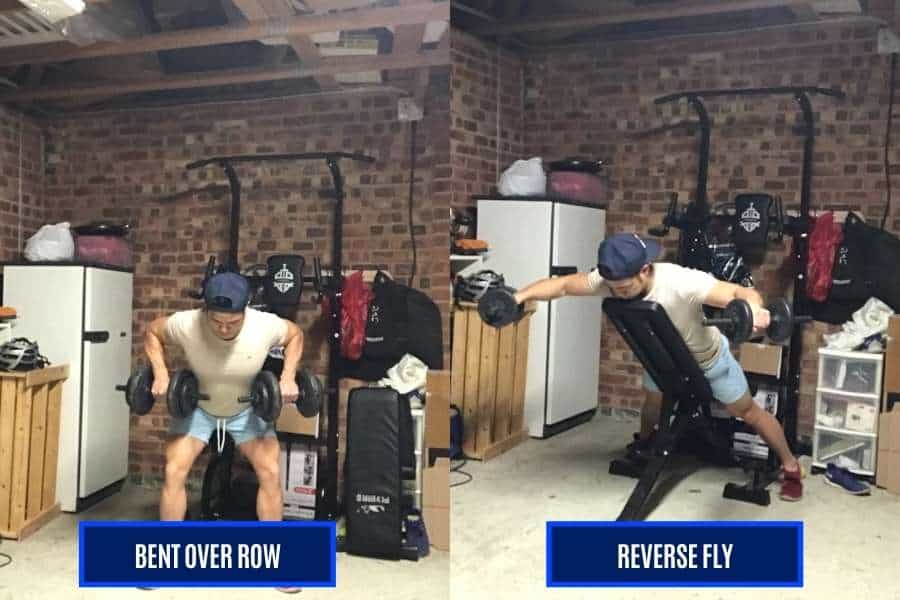 How I used the bent over row and reverse fly to train the rhomboids for a thicker v-taper back.