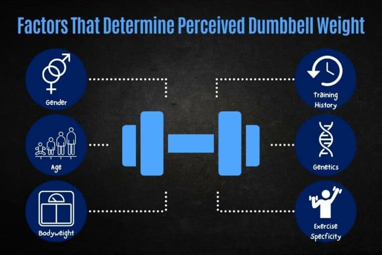 Which Dumbbells Are Considered Light, Medium, And Heavy?