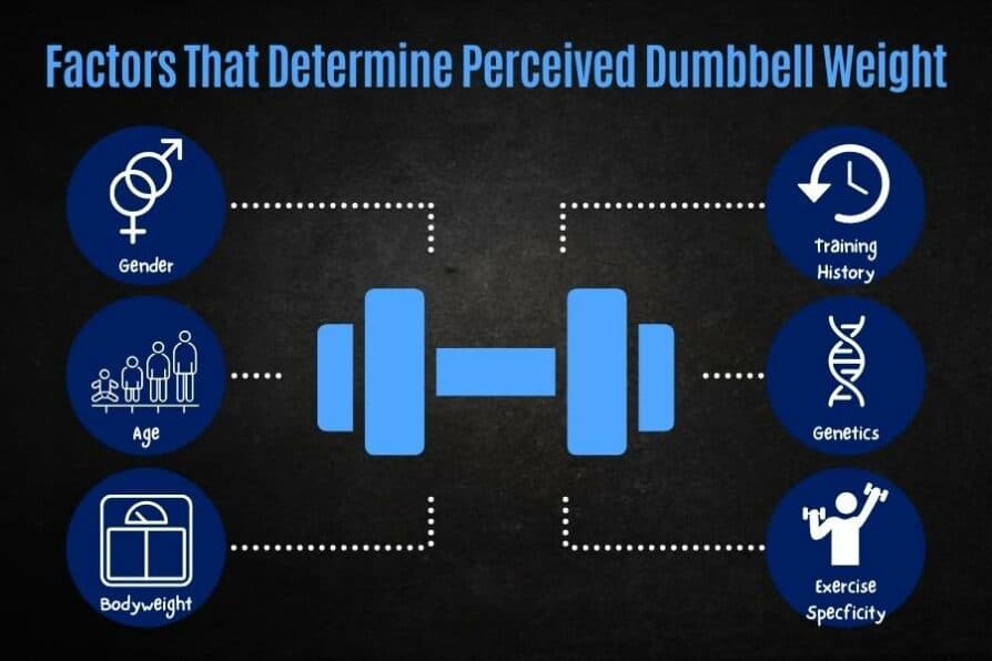 Which Dumbbells Are Considered Light, Medium, And Heavy?