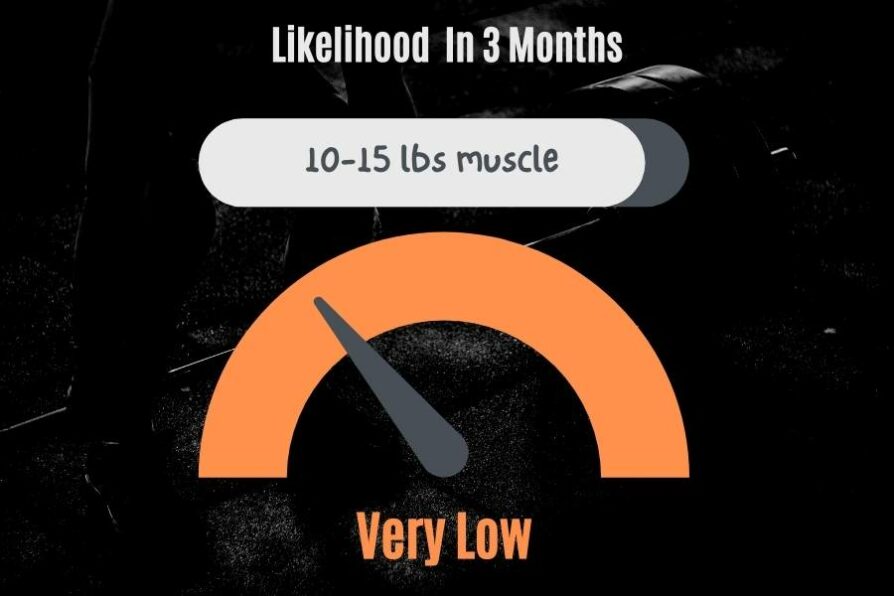 How Much Muscle Can You Gain In 3 Months realistic Goals how-much-muscle-can-you-gain-in-3-months-realistic-goals