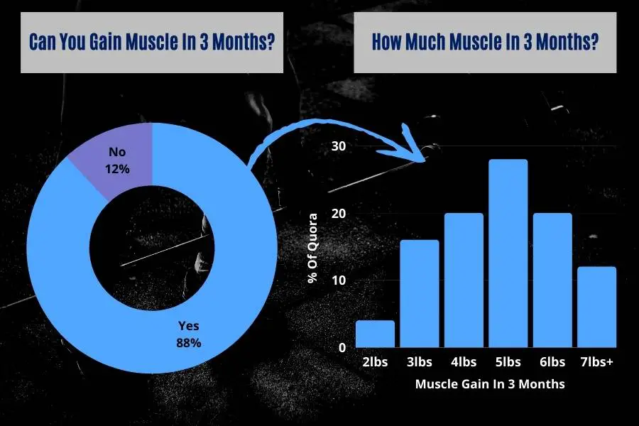 Quora poll results for "can you gain muscle in 3 months" and "how much muscle did you gain in 3 months" show how much muscle other people gained.